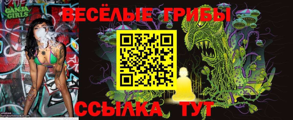 Псилоцибиновые грибы Magic Shrooms  Вход с VPN  Краснознаменск 