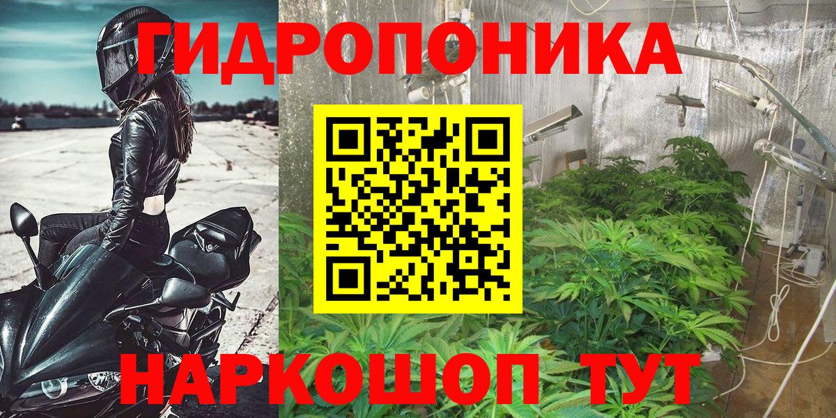 Шишки марихуана гибрид Краснознаменск